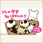 タマ&フレンズ