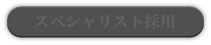 スペシャリスト採用